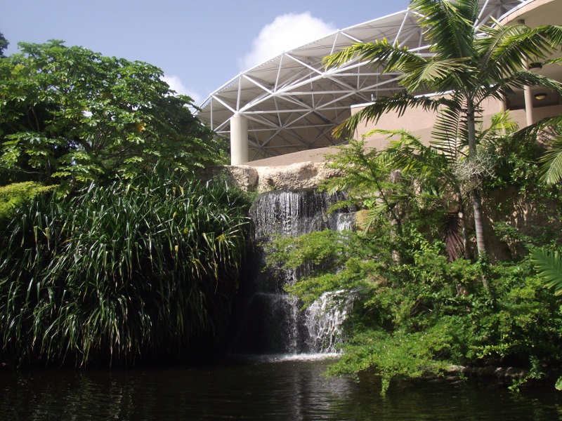 Urban Jungle, in Miami