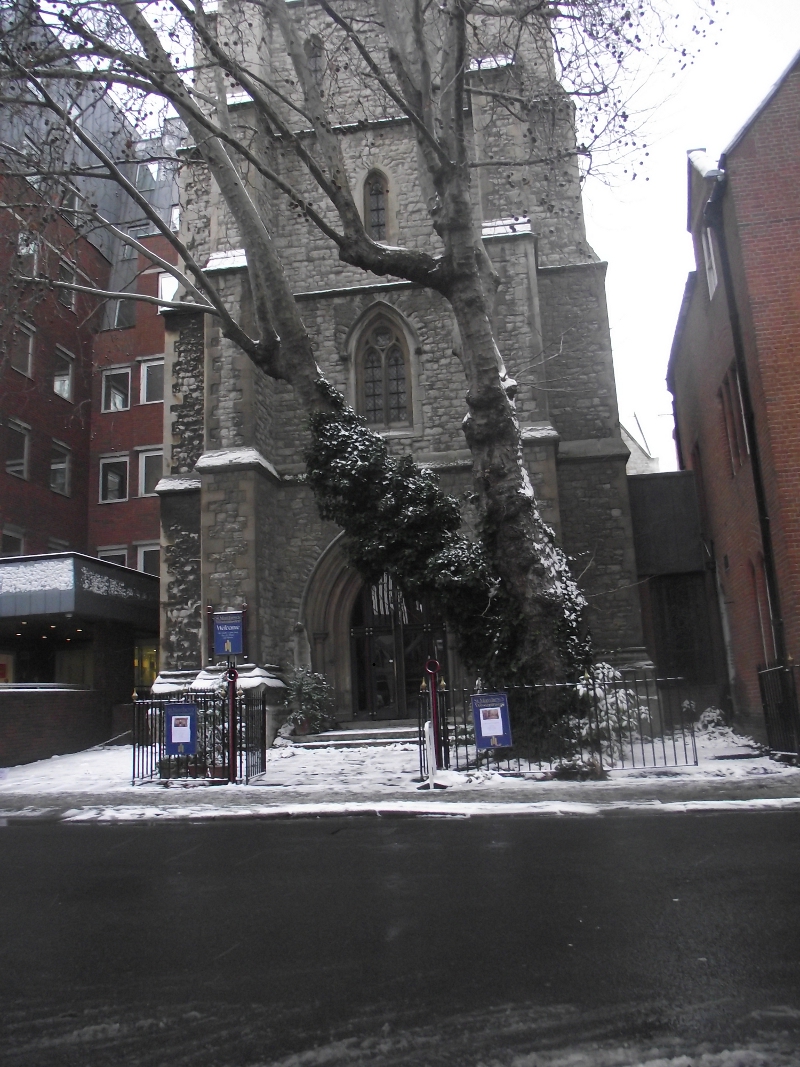 Snow in Westminster - SW1 London